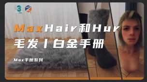 【3DMAX】Hair和Hur毛发教程