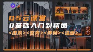 【D5】D5云课堂|0基础入门到精通